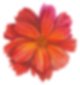flower.png flower.png